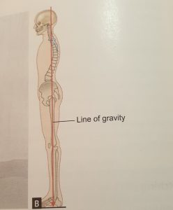 Line of Gravity