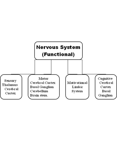 Neervas System