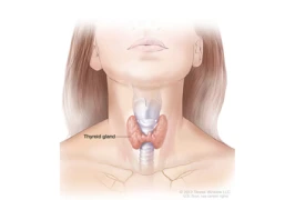 Thyroid & Medical Yoga