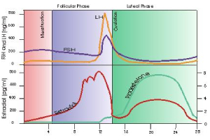 The spectrum of practical